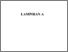[thumbnail of LAMPIRAN]
