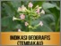 [thumbnail of Indikasi Geografis]