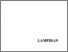 [thumbnail of LAMPIRAN]