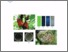[thumbnail of JFST.pdf]