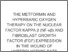 [thumbnail of The Metformin and Hyperbaric Oxygen Therapy on the Nuclear Factor Kappa β (NF-Κβ) and Fibroblast Growth Factor (FGF) Expression in the Wound of Hyperglycemic Rats.]