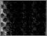 [thumbnail of BAB 1]